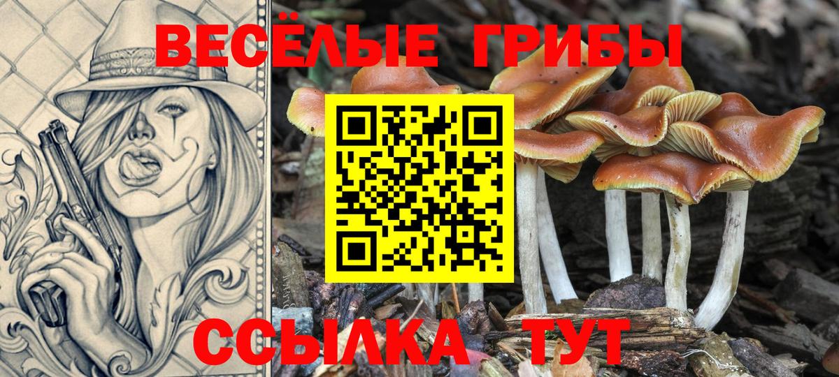 Галлюциногенные грибы мухоморы  Галлюциногенные грибы мицелий  Вход с VPN  Гурьевск 